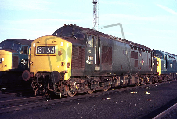 6913 (Cat No UN6913)  Tinsley