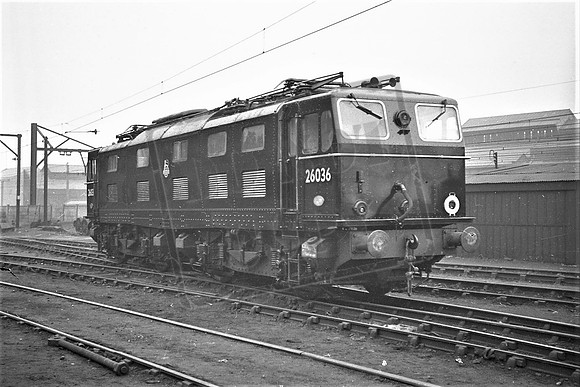 TTPE26036