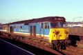 50001 DREADNOUGHT (Cat No MSP50001C) Salisbury 03-03-1990 Mike Spencer 223