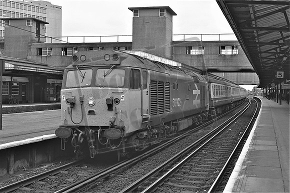 TTP50022