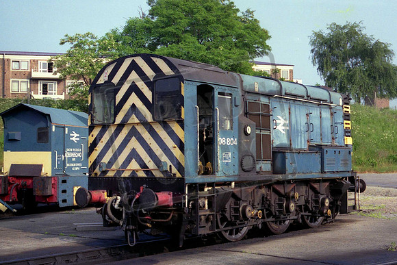 08804 (Cat No MSP08804) Old Ok Common 31-05-1990 Mike Spencer 239