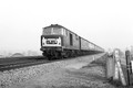 D7049 (Cat No TTP7049B) Waingels near Twyford Jan 1964