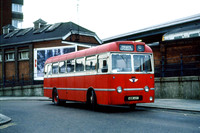 CHILTERN QUEENS