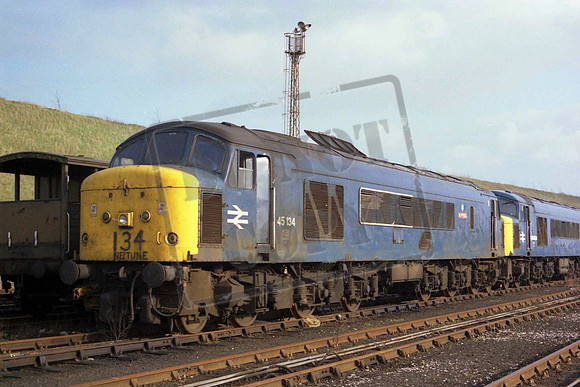 45134 UN45134B NEPTUNE At Tinsley Depot