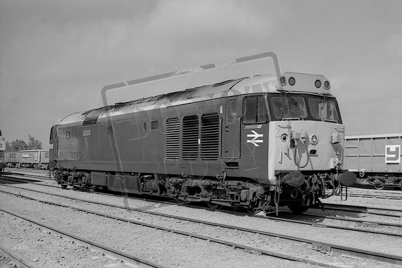 TTP50019