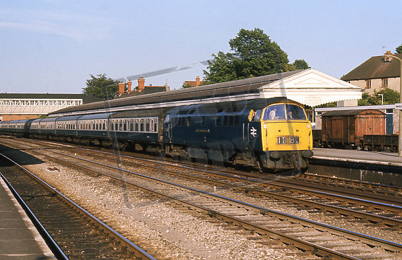 1030 WESTERN MUSKETEER (Cat No 211-33)  Newbury Dec 75 David Canning