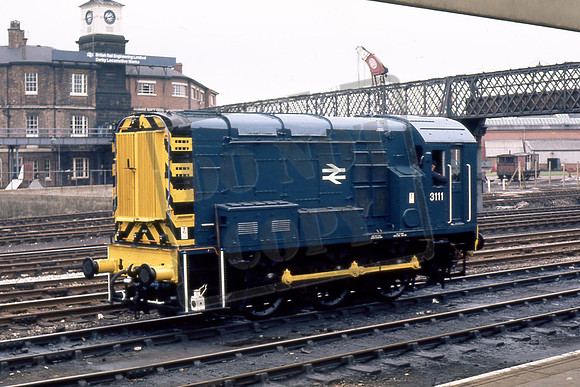 3111 (Cat No TTR234 Derby