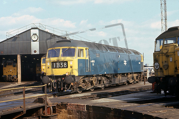 1603 (Cat No TTR239) Old Oak Common