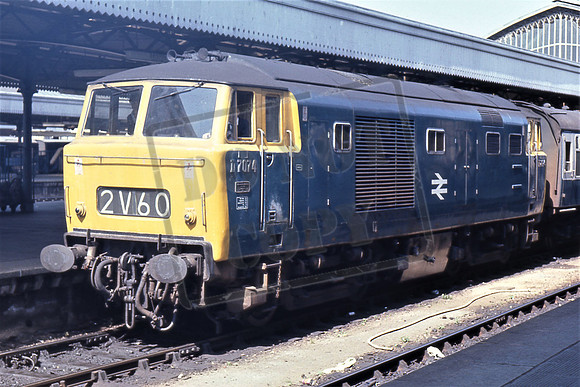7074 (Cat No TTR252)