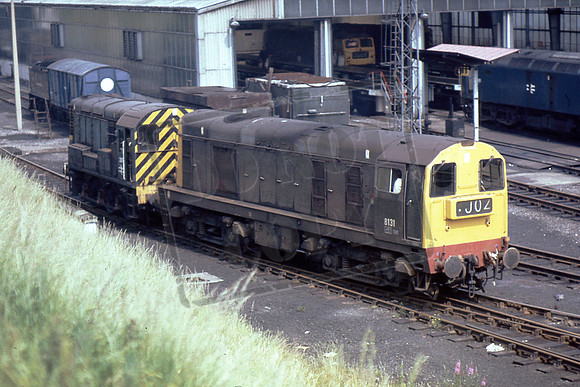 8131 (Cat No TTR255) Tinsley 1973