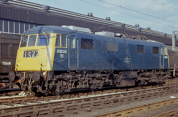 83009 (Cat No TTR257)