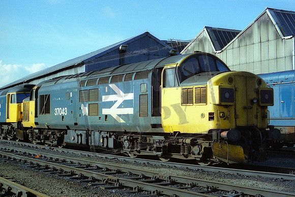 37043 (Cat No MSP37043B) Eastfield 06-09-1987 Mike Spencer 059