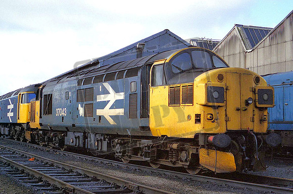 37043 (Cat No MSP37043) Eastfield 06-09-1987 Mike Spencer 059 (2)