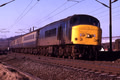 CLASS 45 COLOUR