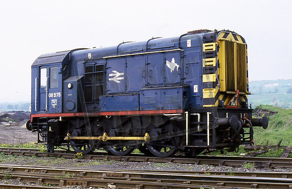 08575 (Cat No TTR1284) Etherly Tip 23-05-97 Ian Bartlett