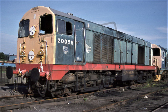 20055 (Cat No TTR1443) Toton Depot 01-08-93 Darren Ford