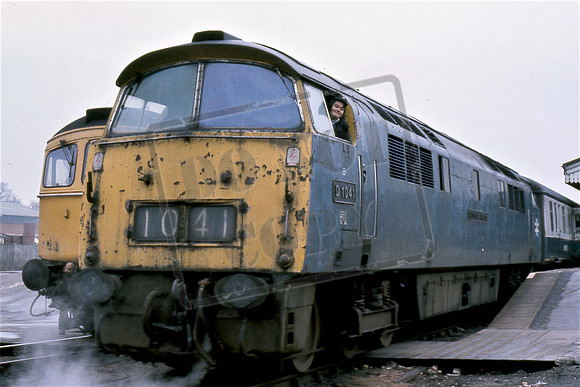 1041 WESTERN PRINCE. (Cat No TTR1712) 10.40 Paddington - Plymouth at Westbury. 10-01-77 Colin Marsden