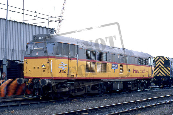 31116 RAIL CELBRITY (Cat No TTR1760) Etches Park 28-02-94 Michael Hill