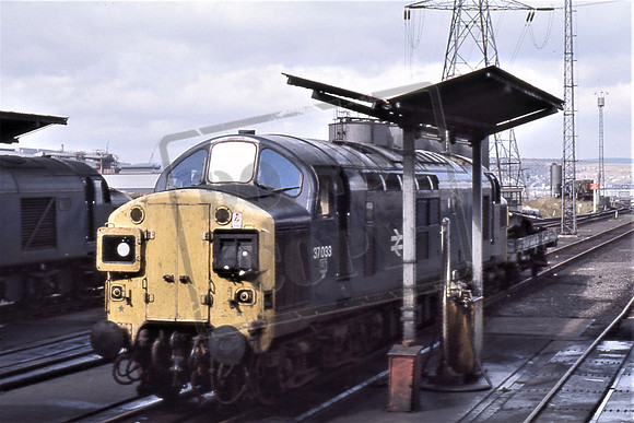 37033 (Cat No TTR2090) Tinsley 10-09-77 Colin Marsden