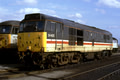 CLASS 31 COLOUR