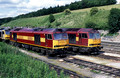 60004 60020 (Cat No GH60004) PEAK FOREST 2005 GARY HOLLAND
