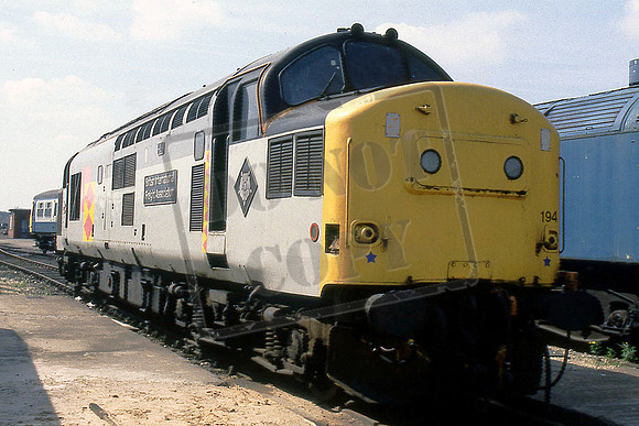37194 (Cat No IBL37194) BRITISH INTERNATIONAL FREIGHT ASSOCIATION at DONCASTER WORKS 28-4-1991 I BALL