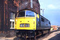 1008 (Cat No RU1008) OLD OAK COMMON 14-7-1974 R USHER