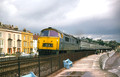 1008 WESTERN HARRIER (Cat No UN1008) DAWLISH