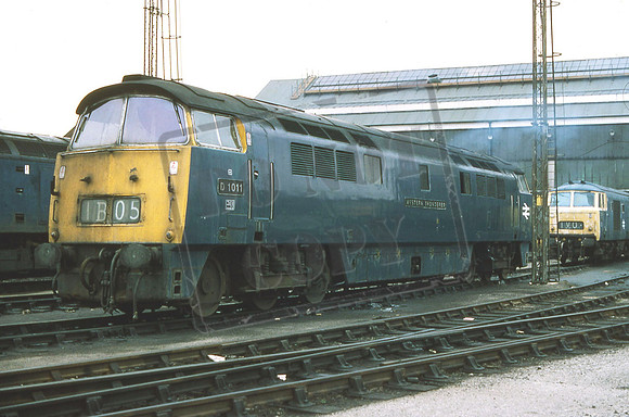 1011 WESTERN THUNDERER (Cat No UN1011) Old Oak Common