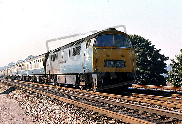 1031 WESTERN RIFLEMAN (Cat No UN1031) TWYFORD 7-10-1971