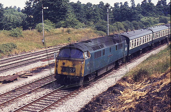 1047 WESTERN LORD (Cat No CE1047) CLIFFORD ESSEX