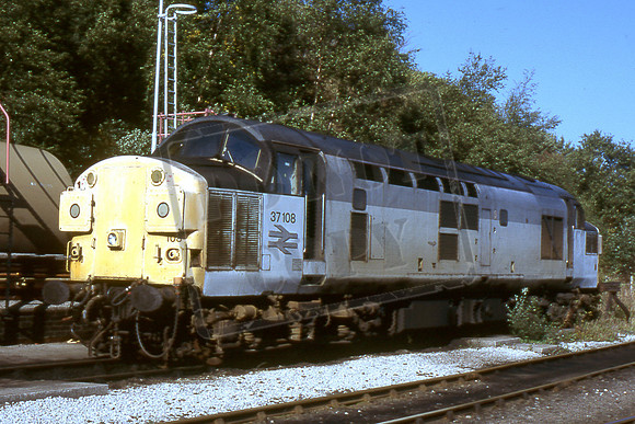37108 (Cat No TTR2353) Buxton 08-10-95 Michael Hill