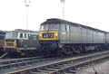 1643 (Cat No UN1643) & 7068