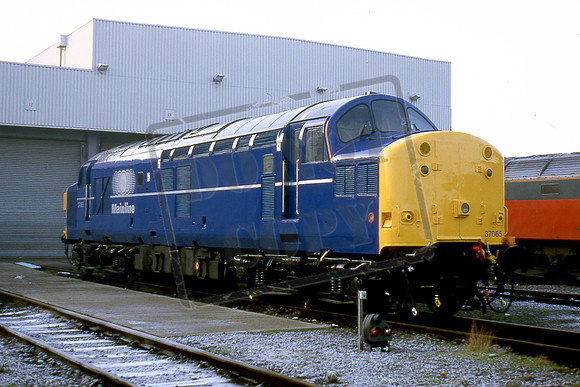 37065 (Cat No TTR2364) Toton 10-12-95 Micahel Hill