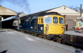 6520 Basingstoke UN6528