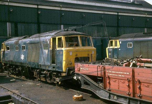 7100 7029 (Cat No JS7100) OLD OAK JULY 1973 JOHN SAVAGE