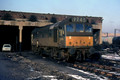 7631 (Cat No UN7631) BESCOT 1969