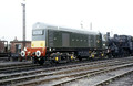 8151 (Cat No JM8151) TOTON 6-8-66 JOE MASTERS