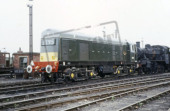 8151 (Cat No JM8151) TOTON 6-8-66 JOE MASTERS