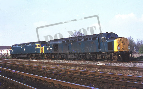 40080 (Cat No UN40080)