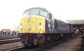 44004 (Cat No UN44004) TOTON 1979