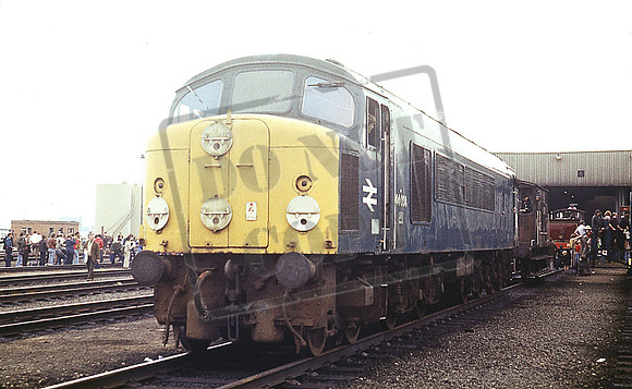 44004 (Cat No UN44004) TOTON 1979