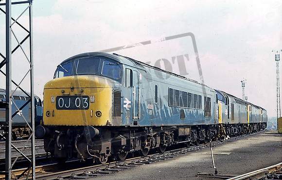 45056 (Cat No RU45056) TINSLEY 4-5-75 (R USHER) RU45056