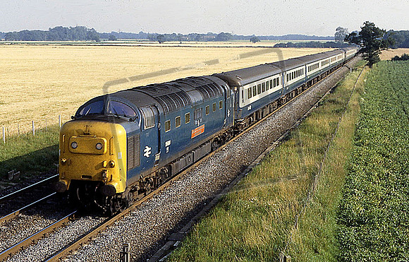 55021 (Cat No JT55021) NARBYRN 19-8-1978 JON TAVENER