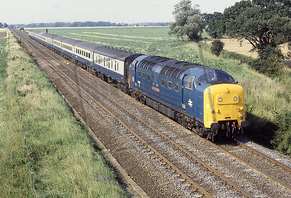 55013 (Cat No JT55013) NARBYRN 19-8-1978 JON TAVENER