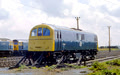 CLASS 71 COLOUR