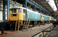 81010 (Cat No UN81010) Crewe