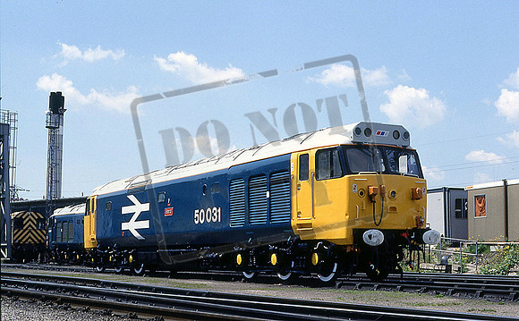 50031 (Cat No CJM50031) HOOD Laira 24-05-1991 Colin J Marsden