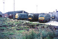 848 SULTAN 6332 6357 (Cat No DWO848) Old Oak 1971 David Woodward