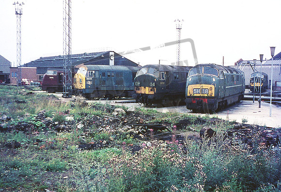 848 SULTAN 6332 6357 (Cat No DWO848) Old Oak 1971 David Woodward